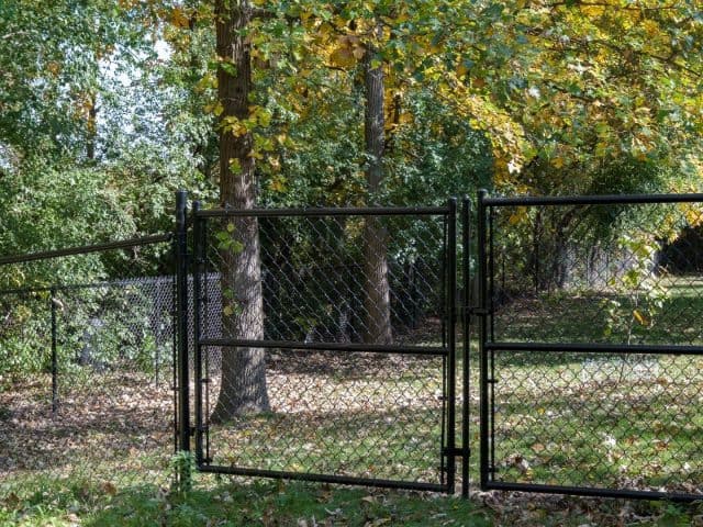 Deer Trouble? Fence Companies in Warwick, RI Have You Covered