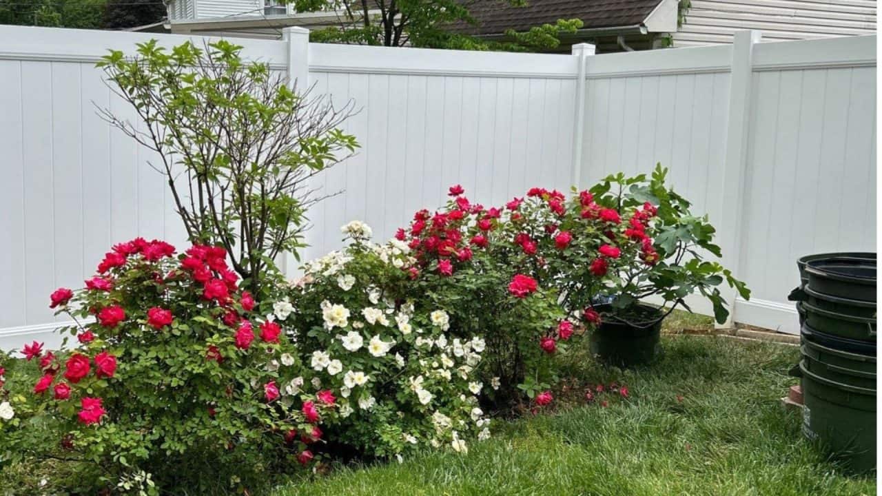 South Jersey Vinyl Fence Installers