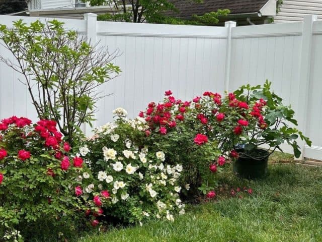 Your South Jersey Vinyl Fence Headquarters Is Superior Fence & Rail