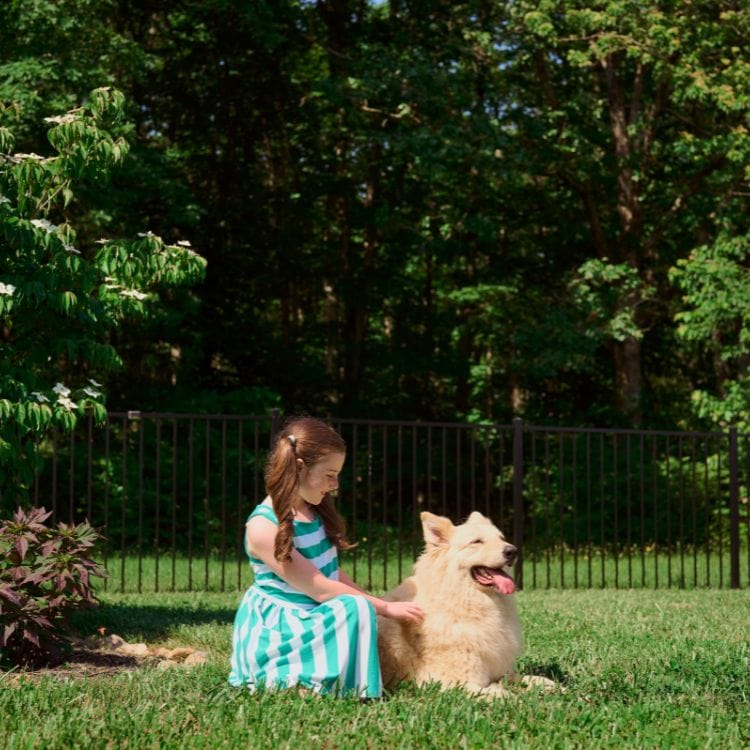 Your Source For Fence Quotes Near Me Is Superior Fence & Rail