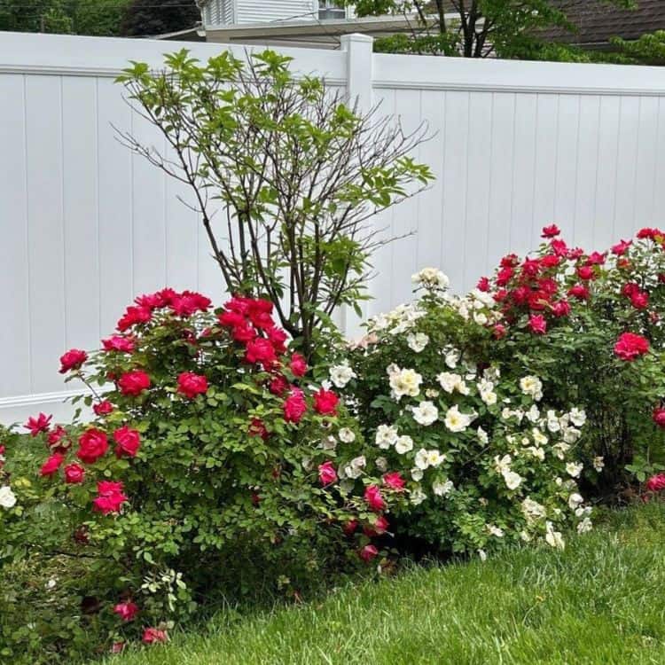 Remove term: Finding the right local fence company Finding the right local fence company