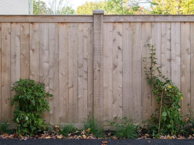 As Your Local Wooden Fence Company Superior Fence & Rail Continues To Earn Rave Reviews