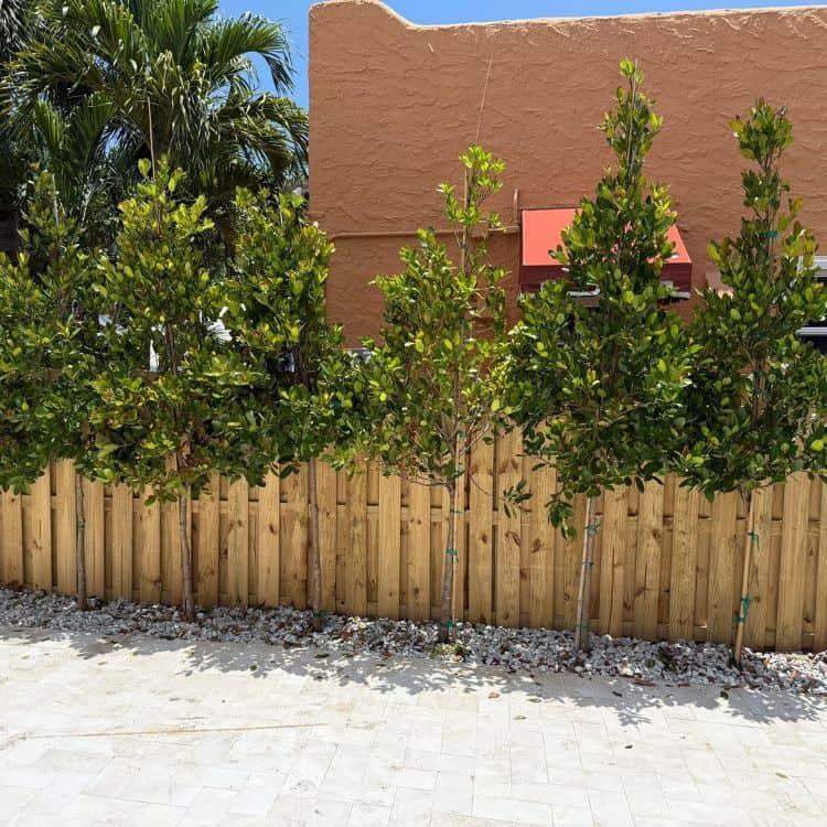 San Jose wooden fence company